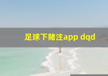 足球下赌注app dqd